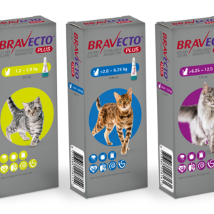 Bravecto plus (pipetas para gatos)