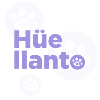 Logo Huellanto